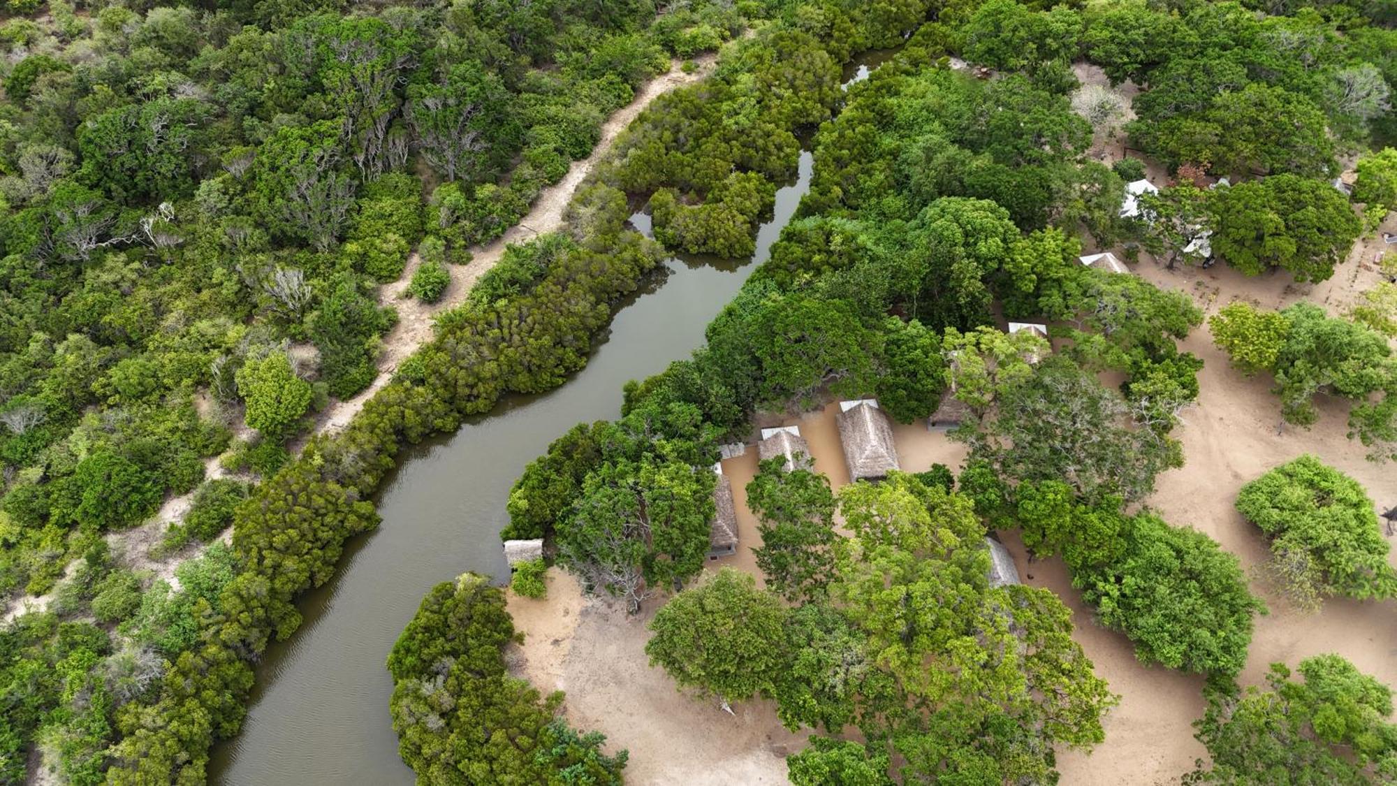 Peanut Farm Surf And Wild Resort - Arugambay Baía de Arugam Exterior foto