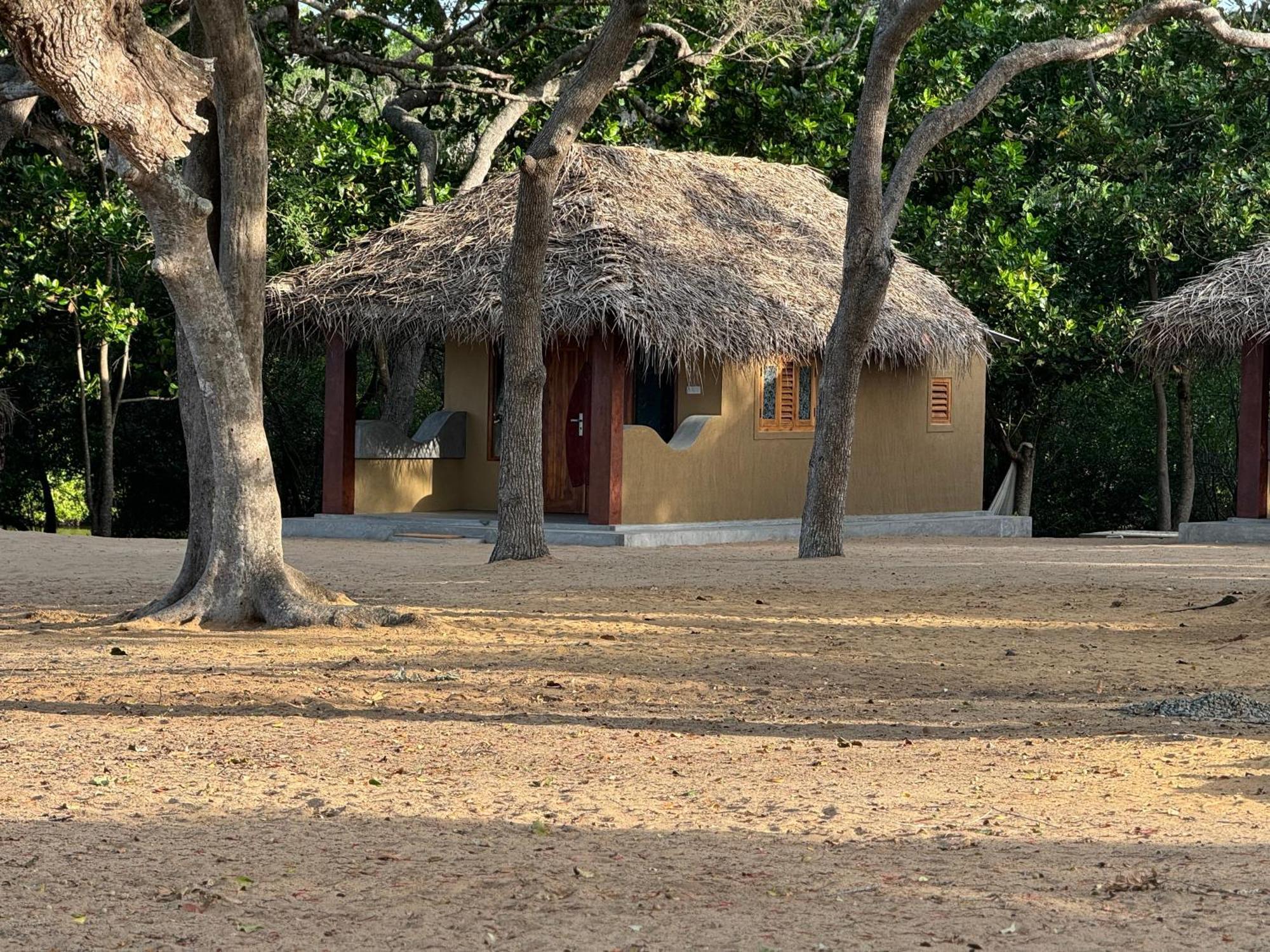Peanut Farm Surf And Wild Resort - Arugambay Baía de Arugam Exterior foto