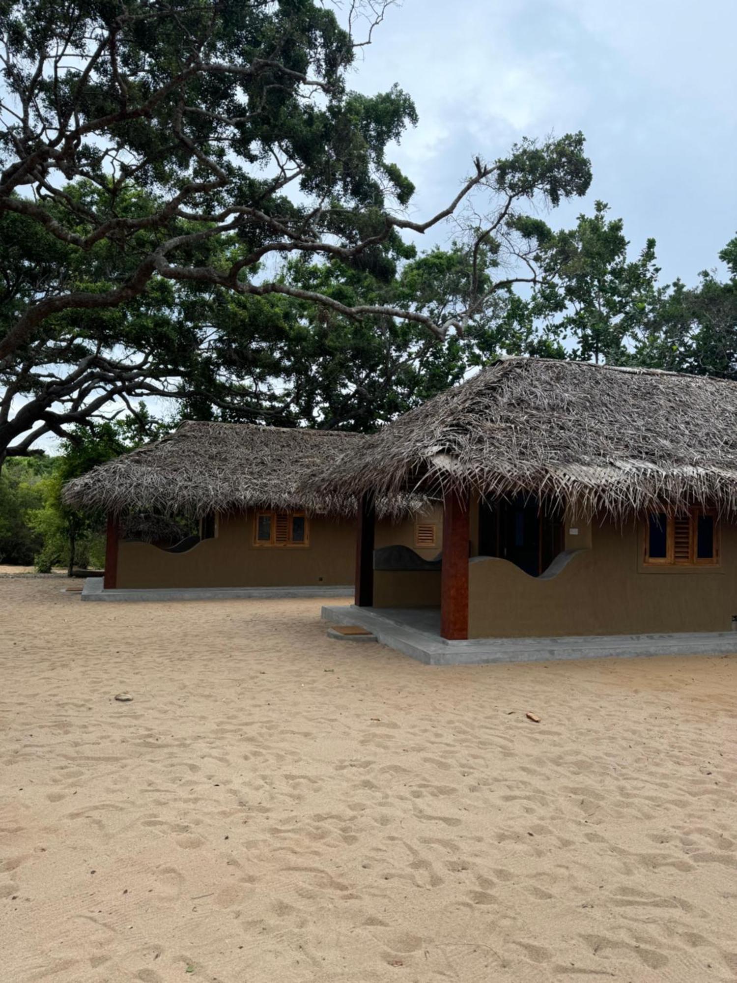 Peanut Farm Surf And Wild Resort - Arugambay Baía de Arugam Exterior foto